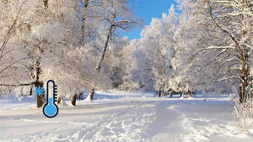 Llegó el frío y la masa de aire ártico: ¿En qué estados nevará?. | FOTO: Temática.