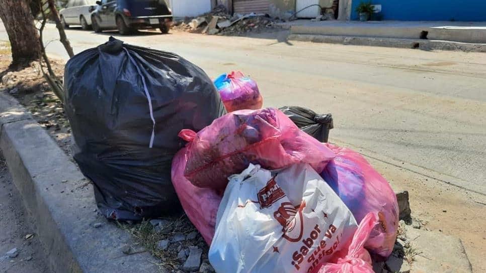 No aguantan el olor; vecinos del ejido Compuertas tienen más de 15 días sin recolección de basura