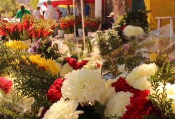 ¿Cuánto cuestan las flores este Día de Muertos? Así quedan los precios