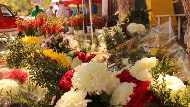 ¿Cuánto cuestan las flores es Día de Muertos? Así quedan los precios