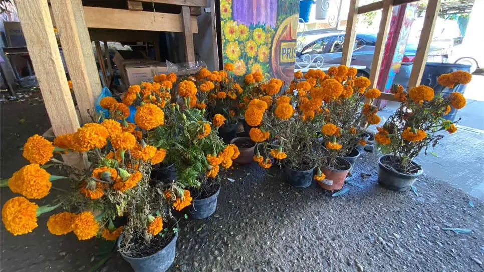 FOTO: Tahiry Zambrano.