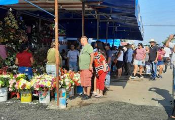 Se agota la flor de Cempasúchil en panteones y negocios de Mazatlán