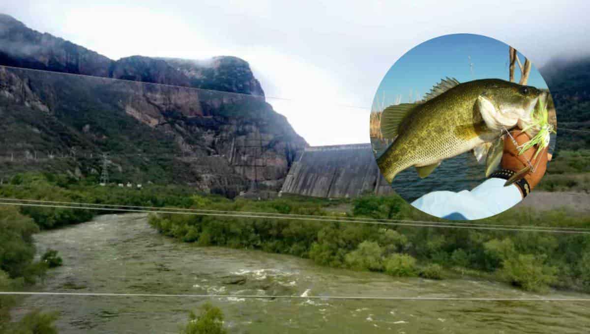 Estas presas son ideales para practicar la pesca. FOTO: Luz Noticias / Dónde Pescar