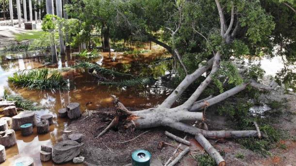 Parque Sinaloa: ¿Qué afectaciones sufrió durante los vientos de «Norma»?