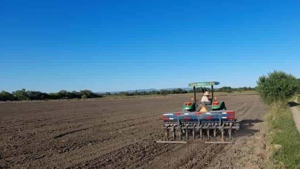 Presas de Sinaloa: qué panorama le espera a la agricultura sinaloense para el 2024