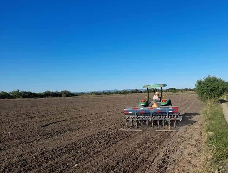 Presas de Sinaloa: ¿Qué se puede sembrar con el agua que asignó Conagua?