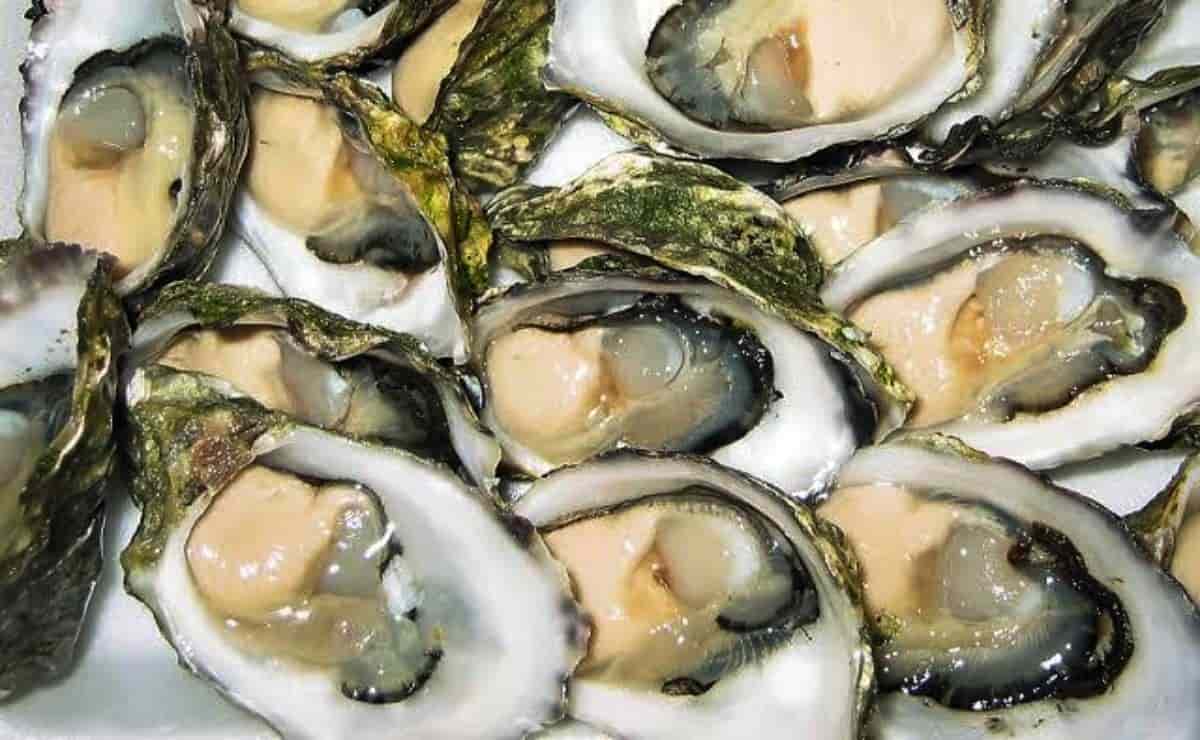 FOTO: Heidi Fonseca.