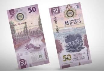 Billete de 50 pesos del ajolote, ¿saldrá pronto de circulación? Esto dice Banxico