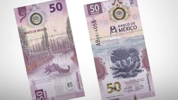 Billete de 50 pesos del ajolote, ¿saldrá pronto de circulación? Esto dice Banxico