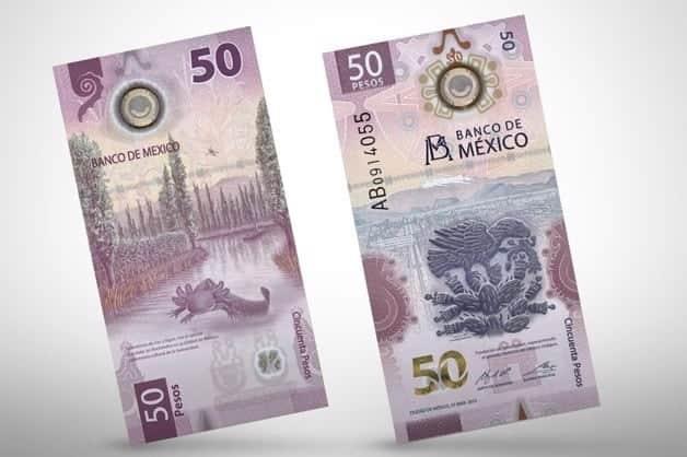 Billete de 50 pesos del ajolote, ¿saldrá pronto de circulación? Esto dice Banxico