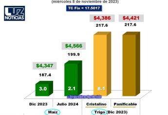 Sube el precio del trigo a 8.1 dólares.