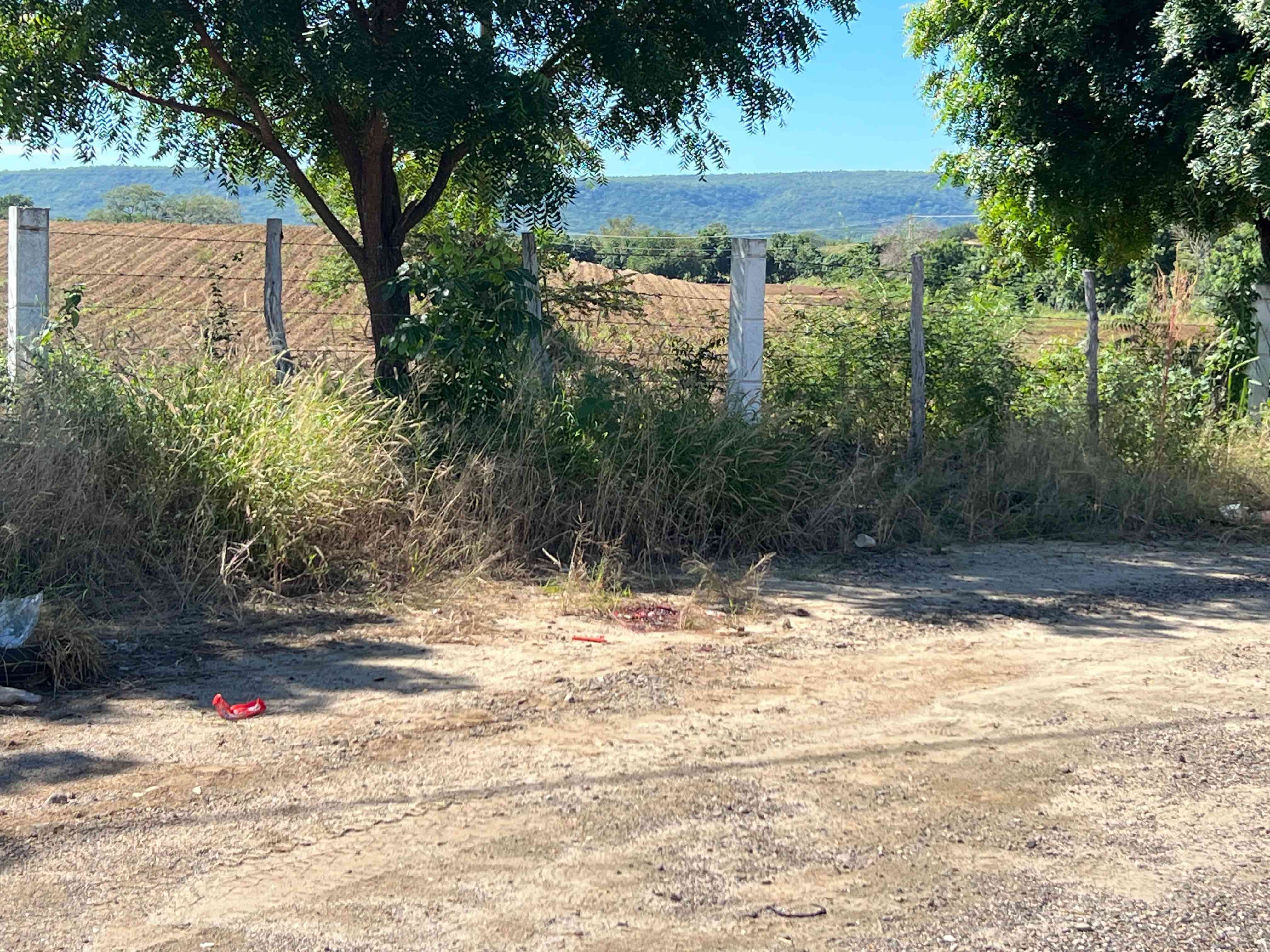 En este sitio fue localizado el hombre sin vida. | FOTO: Luz Noticias.