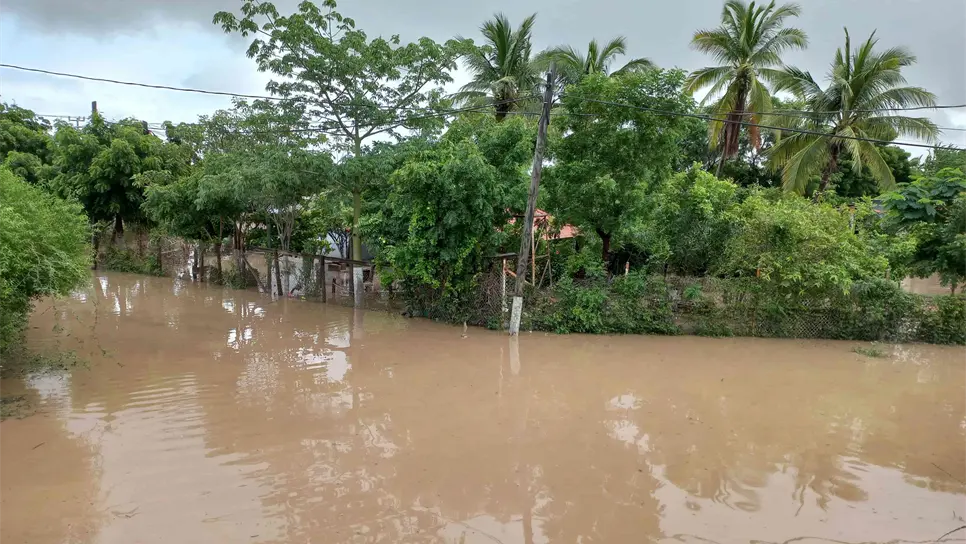 Cientos de familias se vieron muy afectadas. FOTO: Luz Noticias