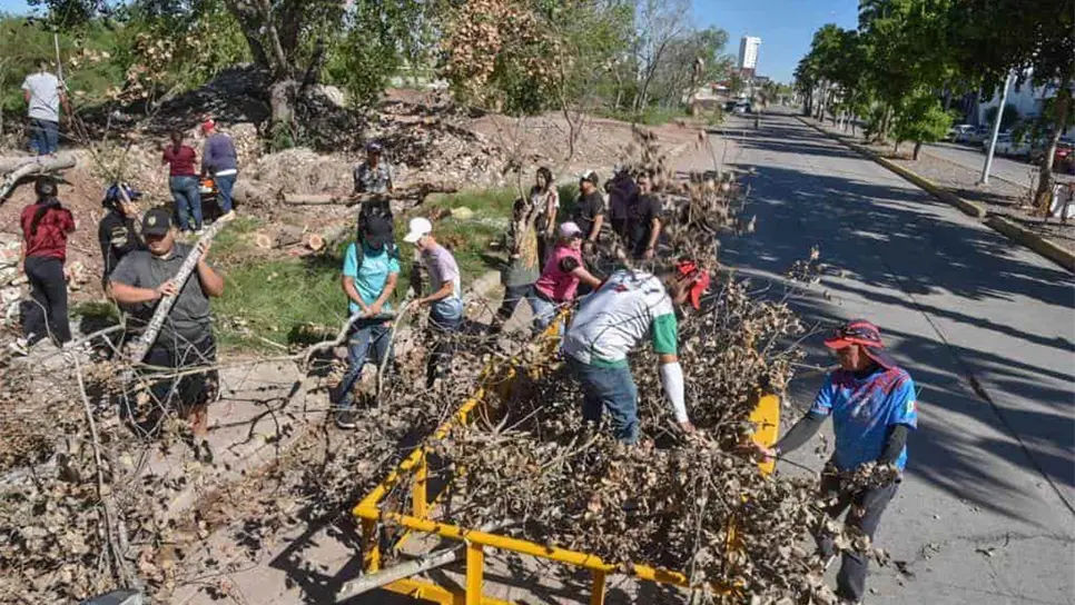Los mochitenses esperan embellecer de cara a las fiestas navideñas. FOTO: Cortesía