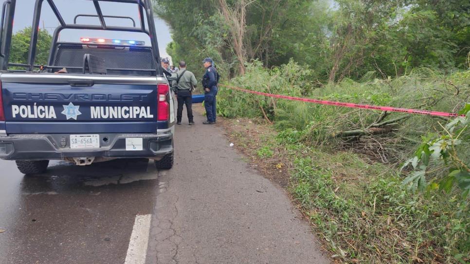 Conductor de un Toyota perdió la vida tras salirse de la carretera y volcar en Cuatro Caminos, Guasave