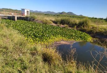 Encuentran a un hombre con el tiro de gracia cerca del «Dique Las Isabeles»