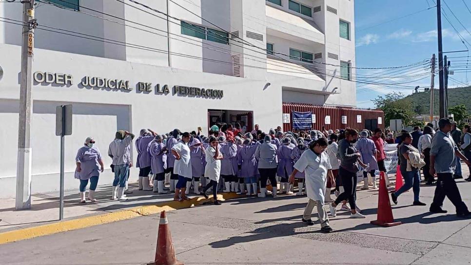 Empacadoras exigen detener importación ilegal de Camarón de Ecuador 