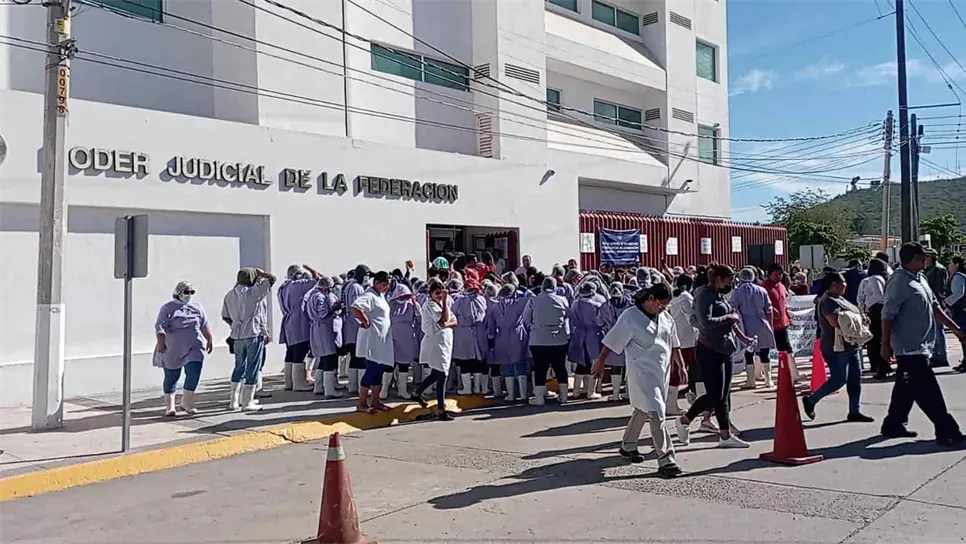 Empacadoras exigen detener importación ilegal de Camarón de Ecuador 