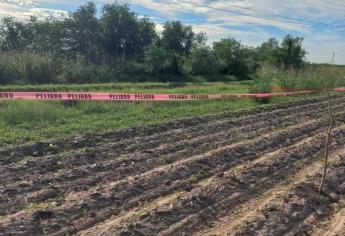 Hallan osamenta humana en la Comisaría de Leyva Solano, Guasave