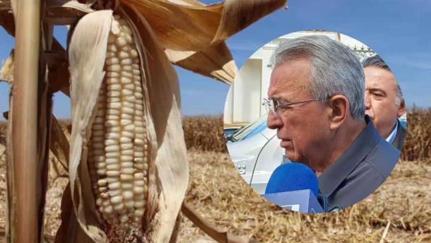 Rocha Moya: ya se liquidó la deuda a productores agrícolas