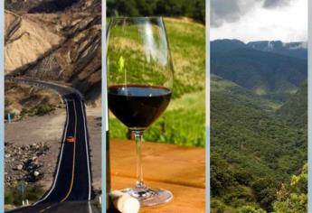 Conoce las carreteras más hermosas de México para hacer un viaje en tu auto