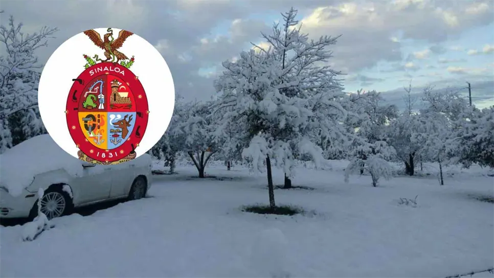 «El congelador» llegó a Sinaloa, conoce los otros cinco estados con nevadas.