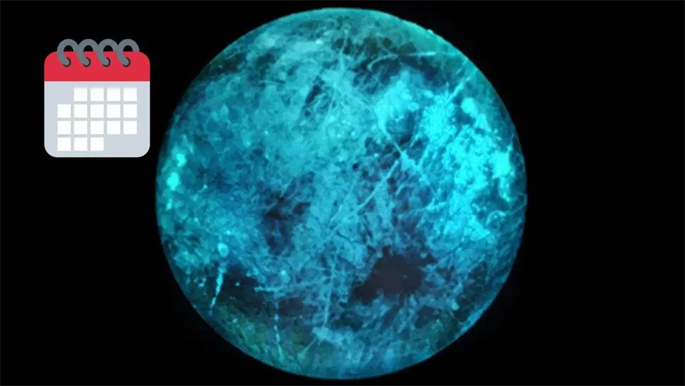 Luna de las heladas: conoce cuándo se podrá observar este fenómeno.