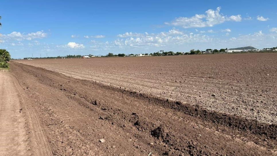 Este miércoles definen Plan de Siembras para Sinaloa 