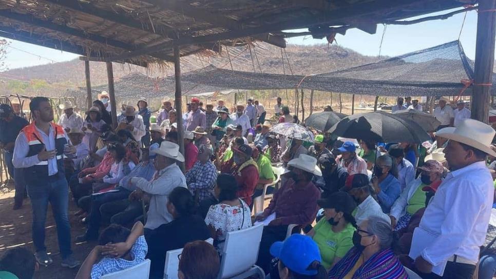 Coepriss declara al norte de Sinaloa libre de brucelosis bovina