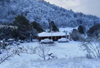 ¿Qué tan lejos queda de Mazatlán ir a ver la nieve?