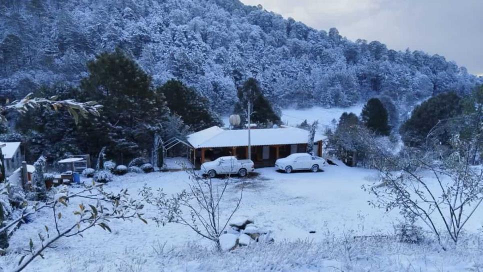 ¿Qué tan lejos queda de Mazatlán ir a ver la nieve?