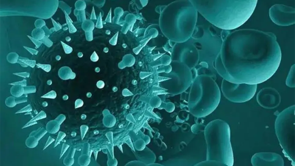 Pirola, la variante del Covid 19: ¿qué estados son los más afectados por este virus?. | FOTO: Temática.