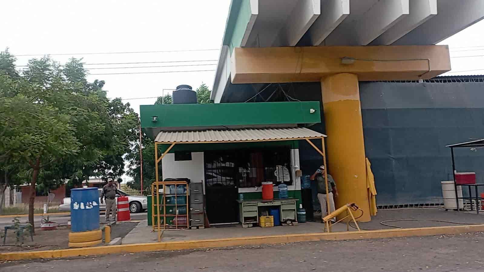 Alertan de riesgos sanitarios y competencia desleal por camarón ecuatoriano. | FOTO: Temática.