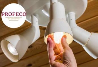 PROFECO: estas marcas de focos son las que más ahorran luz en casa