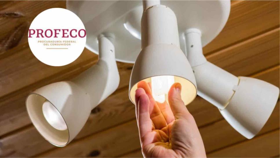 PROFECO: estas marcas de focos son las que más ahorran luz en casa