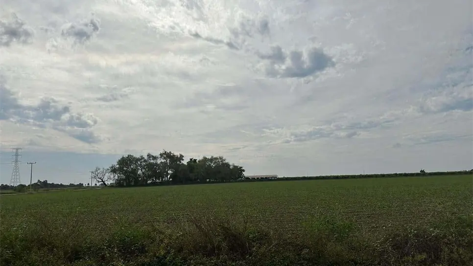 Bajan superficie de siembra en el Valle del Fuerte