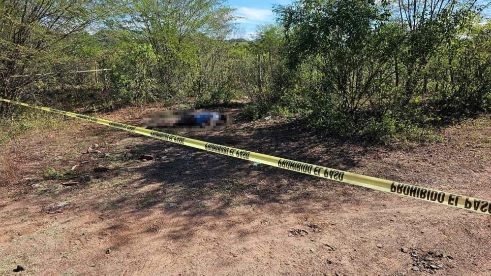 Hombre localizado muerto y torturado cerca de San Benito, Mocorito, sigue sin ser identificado