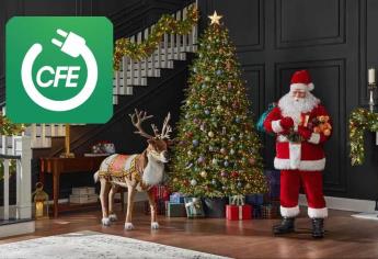 CFE: Estos aparatos eléctricos afectarán tu recibo de luz en navidad