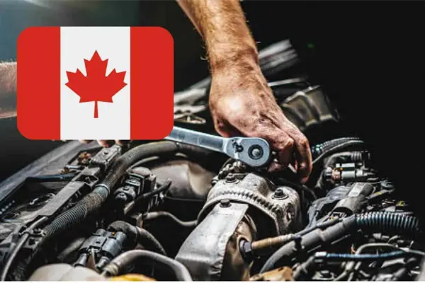 Vacante de trabajo para mexicanos en Canadá, pagan más de 30 mil pesos y no piden inglés Vacante de trabajo para mexicanos en Canadá, pagan más de 30 mil pesos y no piden inglés