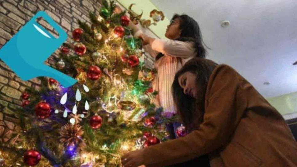 ¿Cómo hacer para que dure más el árbol de Navidad natural y no se seque?