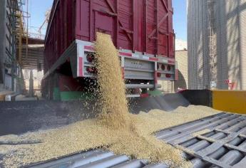 «Gobierno cerró la puerta a la negociación de mejor precio para el maíz»: CNC