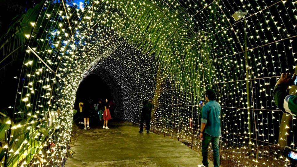 ¡Llegó la Navidad al Jardín Botánico! Cientos de luces iluminan la naturaleza