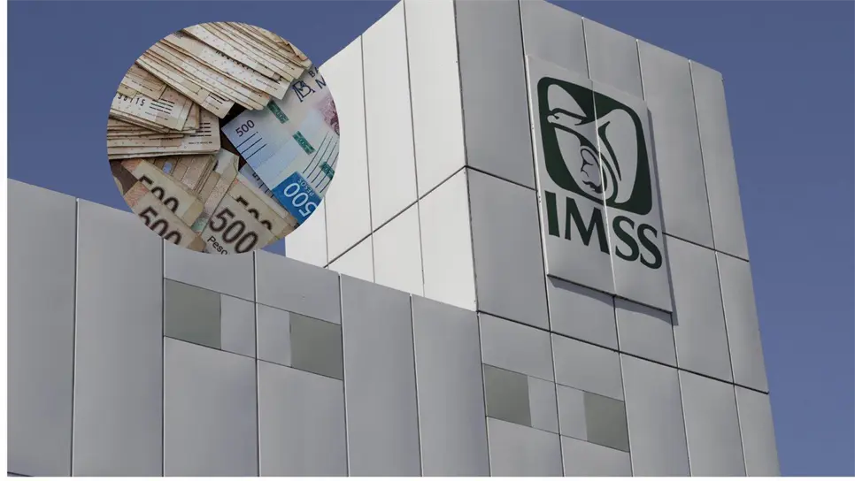 Pensión IMSS 2024: Cuándo llegará el segundo pago del año. | FOTO: Temática.