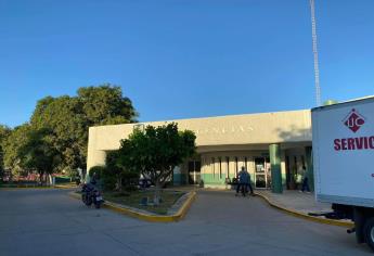 Ataque de abejas en Villa Unión deja cuatro personas heridas