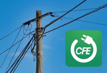 CFE: esto cuesta un poste de la luz en caso de tumbarlo en un accidente