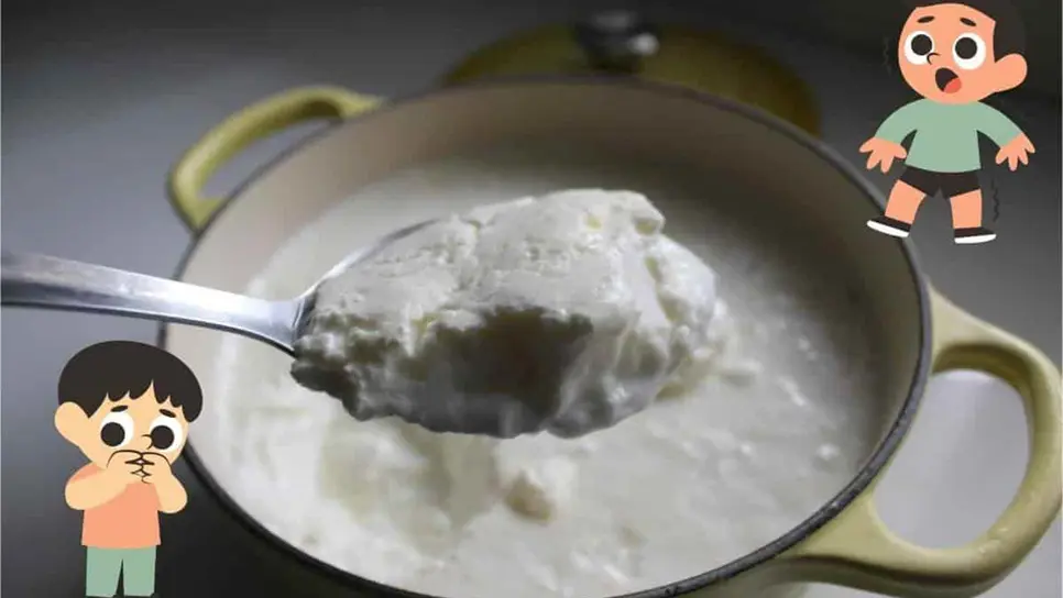 Estos yogures griegos no debe ser consumidos por niños, según Profeco 