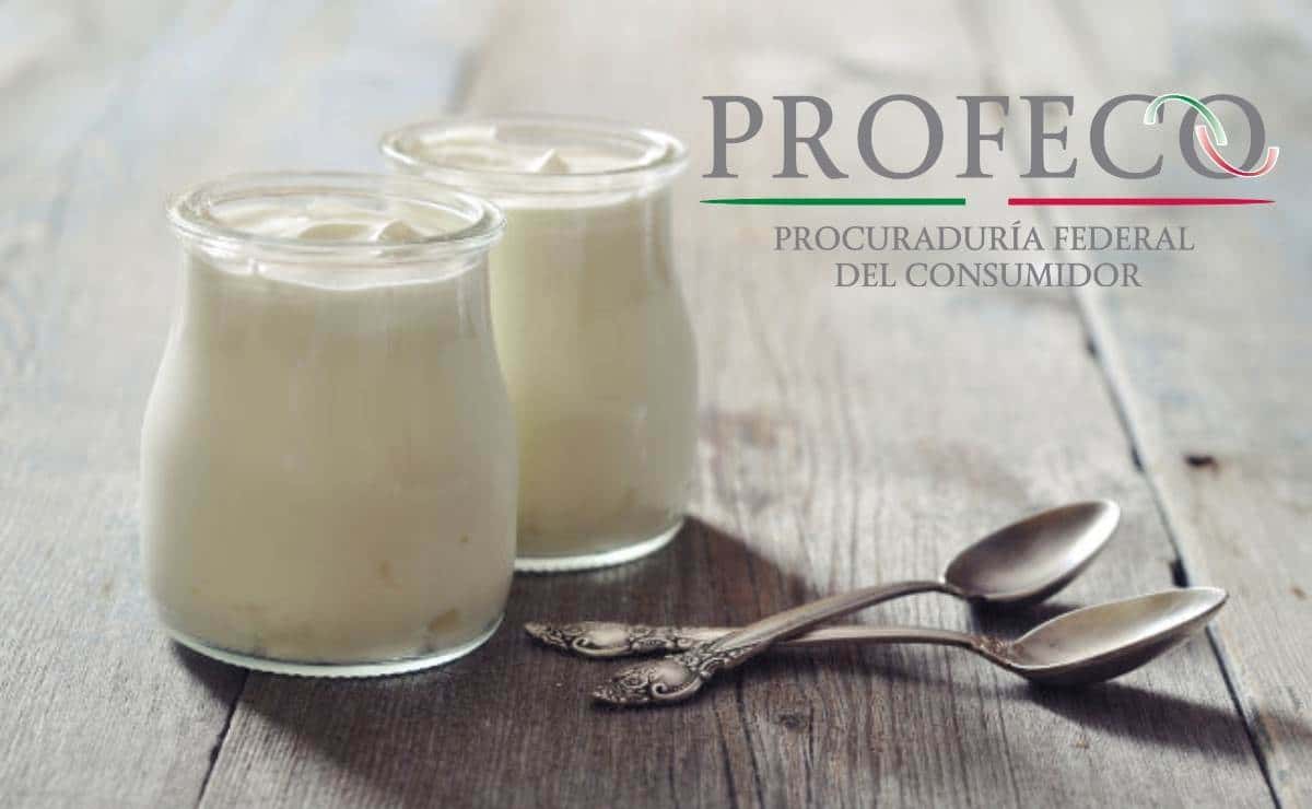Profeco: Estas marcas de yogur griego engañan a los consumidores