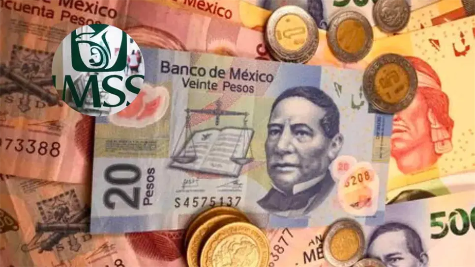 Pensión IMSS: cómo recibir más de 100 mil pesos en 2024. | FOTO: Temática.