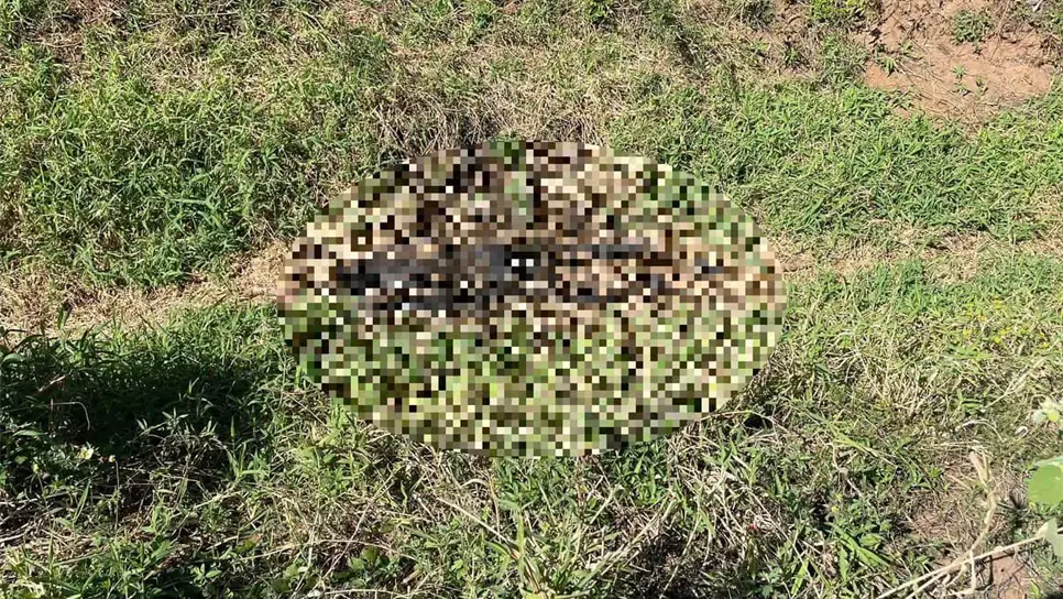 Hasta el momento las autoridades no han dado mayor detalle sobre estos hechos.