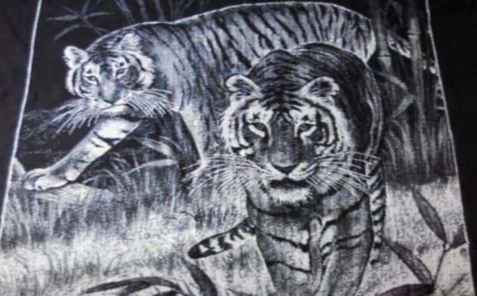 ¿Te acuerdas de las cobijas de tigre? Estas es la razón por la que ya se venden las originales